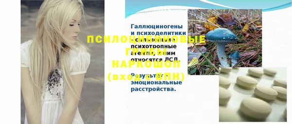 ПСИЛОЦИБИНОВЫЕ ГРИБЫ Богданович
