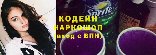 ПСИЛОЦИБИНОВЫЕ ГРИБЫ Богданович