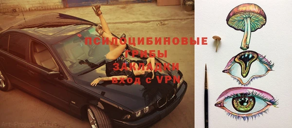 ПСИЛОЦИБИНОВЫЕ ГРИБЫ Богданович