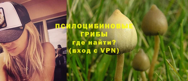 мескалин Богородицк