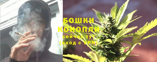 ПСИЛОЦИБИНОВЫЕ ГРИБЫ Богданович